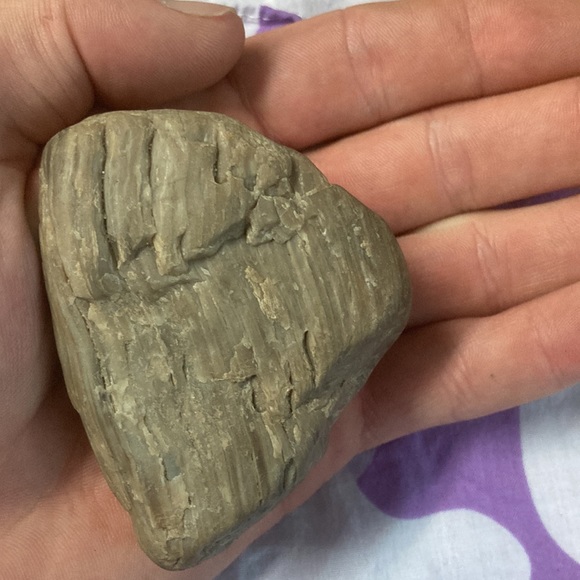 Chakra stone (Petrified wood) - Picture 3 of 4